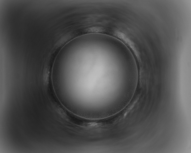 X0000088580153200705251145