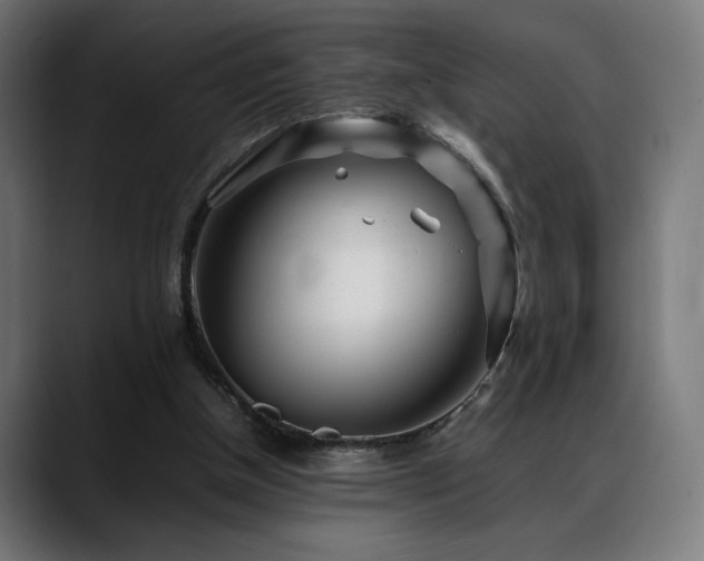 X0000088580154200705251145