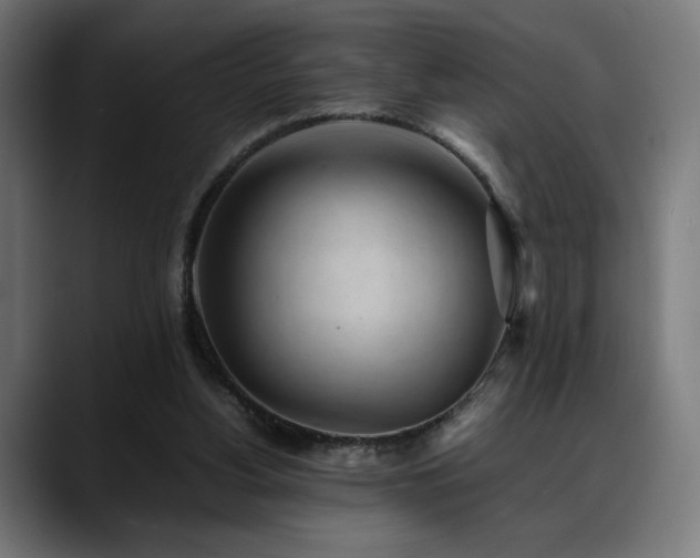 X0000088580156200705251145