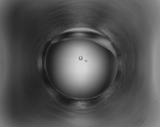 X0000088580158200705251145