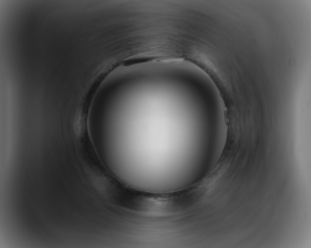 X0000088580164200705251145