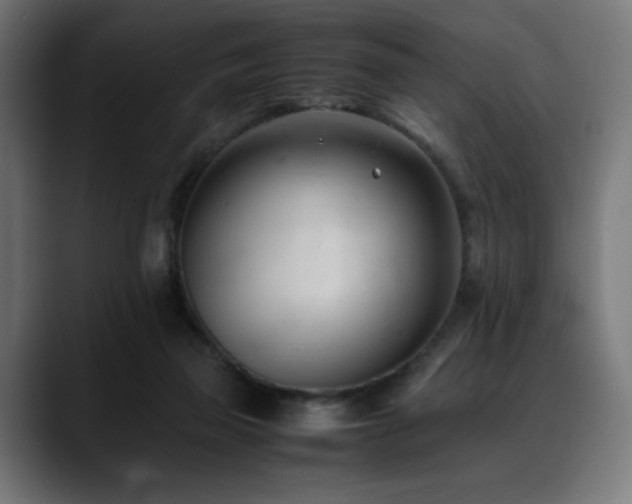 X0000088580165200705251145