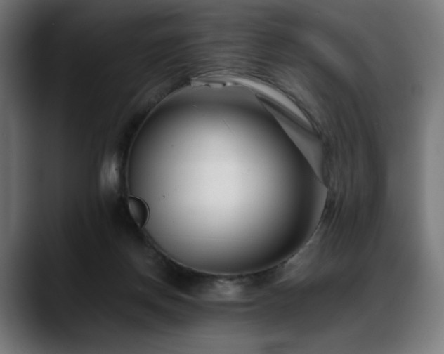 X0000088580166200705251145