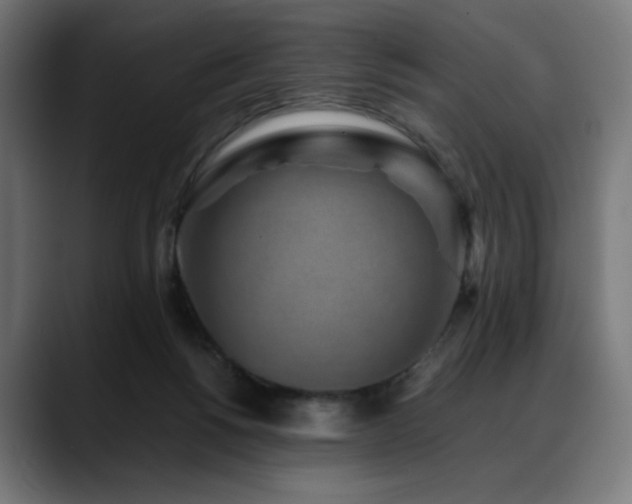 X0000088580168200705251145