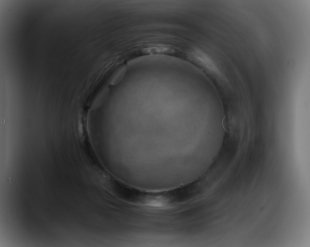 X0000088580169200705251145