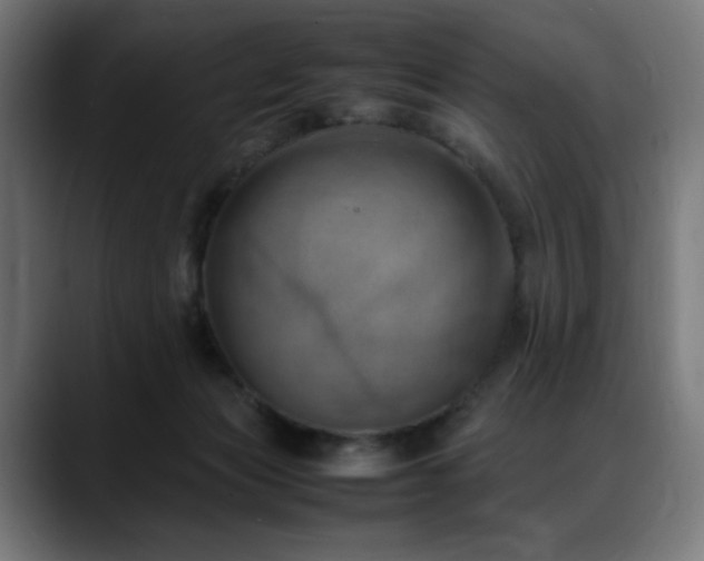 X0000088580173200705251145