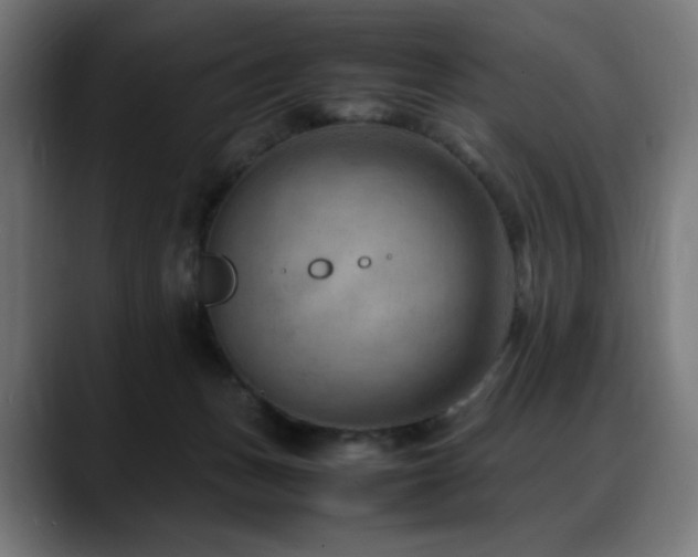 X0000088580175200705251145