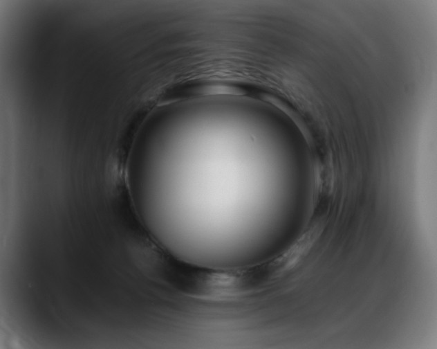 X0000088580176200705251145