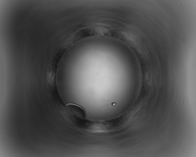 X0000088580177200705251145