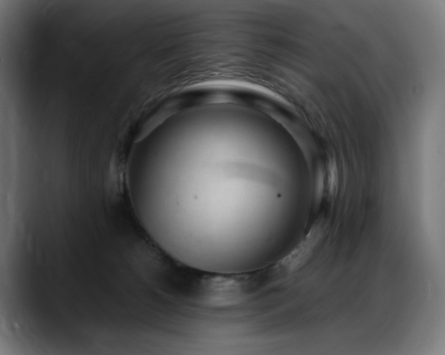 X0000088580180200705251145