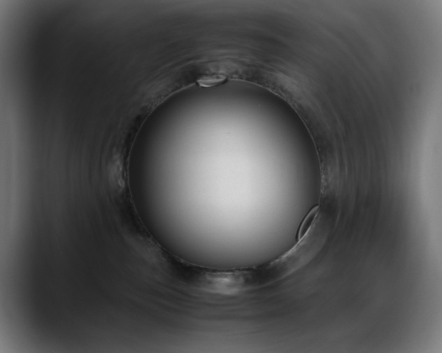 X0000088580187200705251145