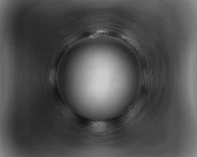 X0000088580189200705251145