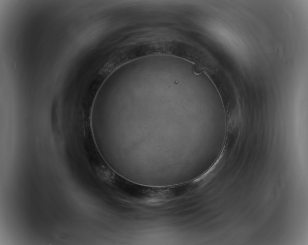 X0000088580191200705251145