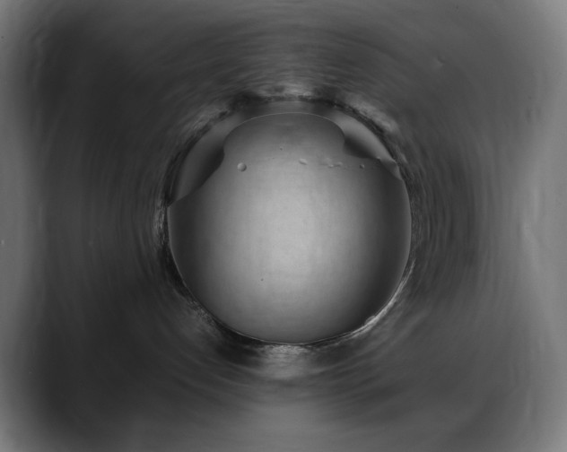 X0000088580192200705251145