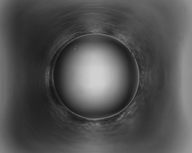 X0000088580194200705251145