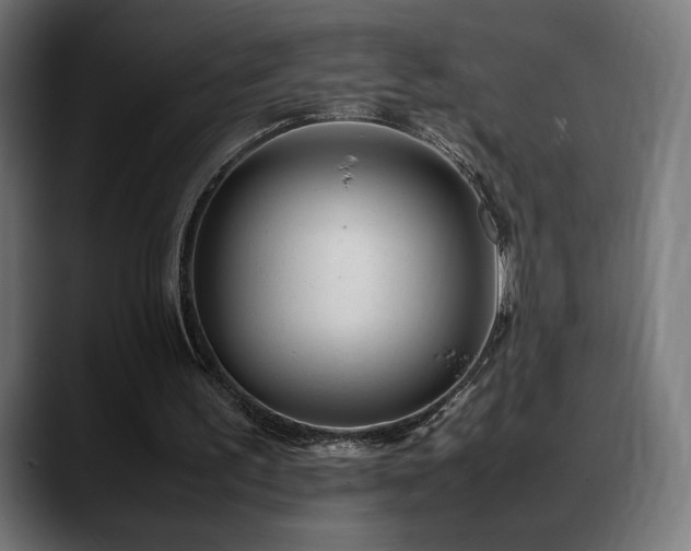 X0000088580195200705251145