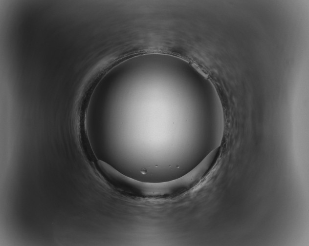 X0000088580197200705251145