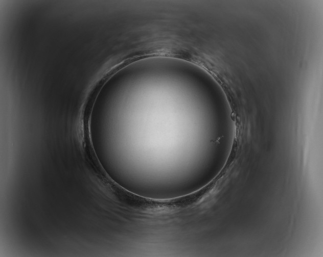 X0000088580198200705251144