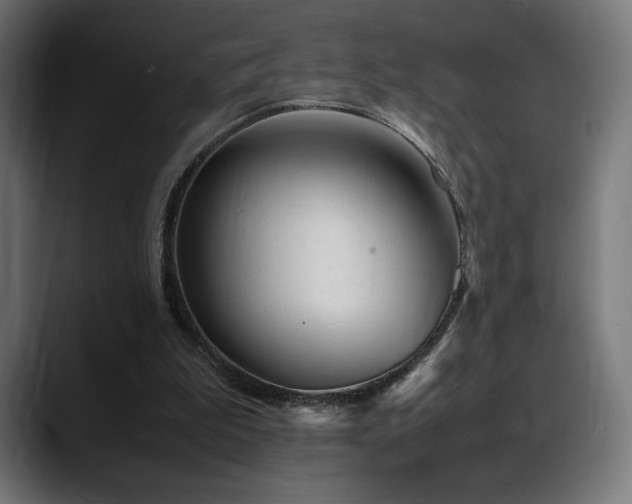 X0000088580199200705251144