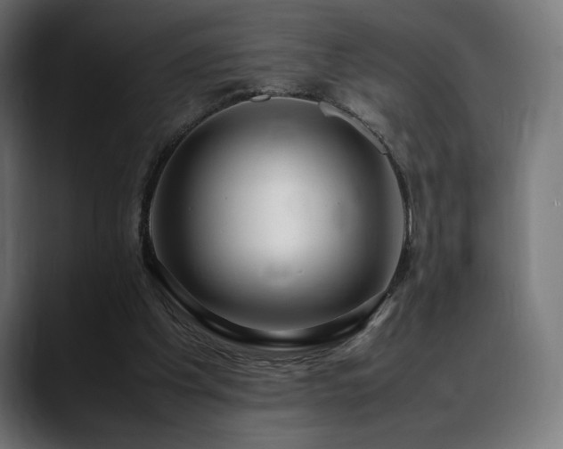 X0000088580201200705251144