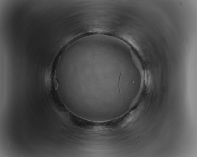 X0000088580204200705251144