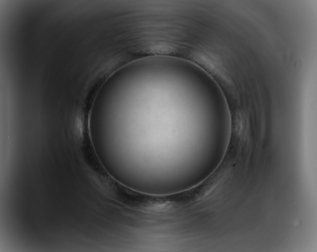 X0000088580206200705251144