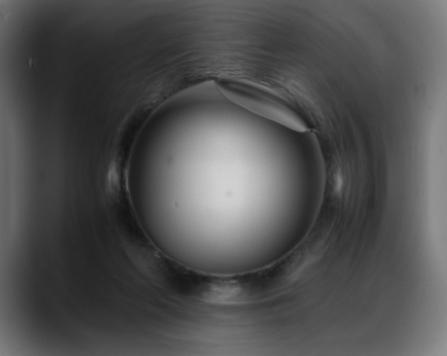 X0000088580214200705251144