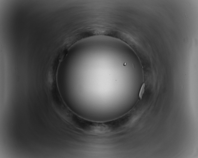 X0000088580215200705251144