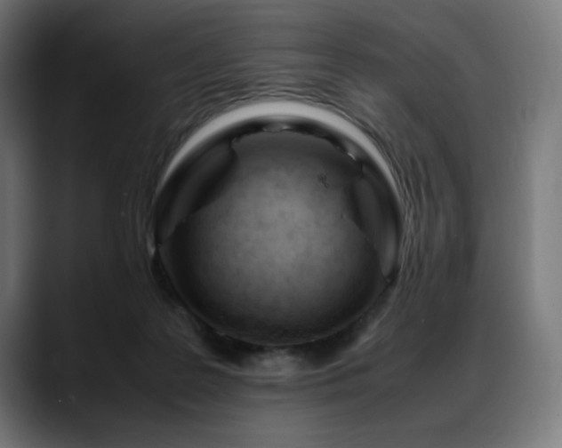 X0000088580219200705251144