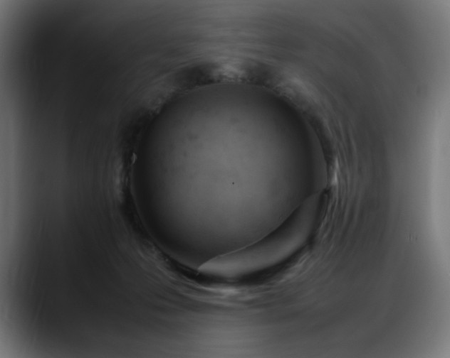 X0000088580223200705251144