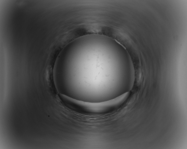 X0000088580229200705251144