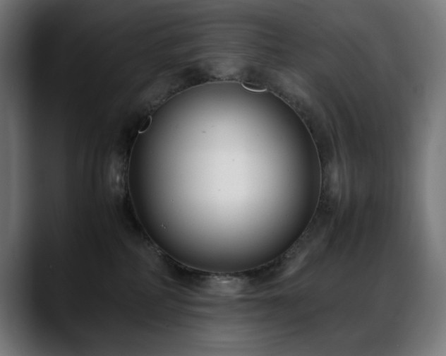 X0000088580234200705251144