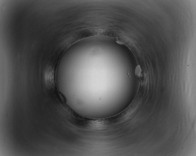 X0000088580238200705251144