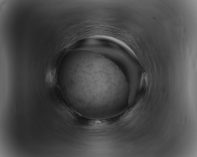 X0000088580239200705251144