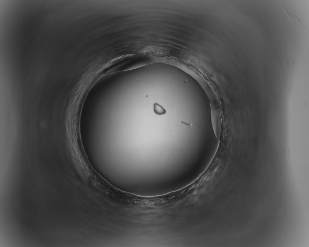 X0000088580241200705251143