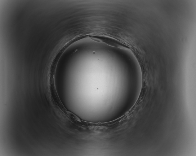 X0000088580242200705251143