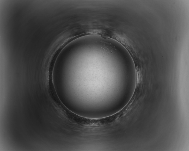 X0000088580243200705251143