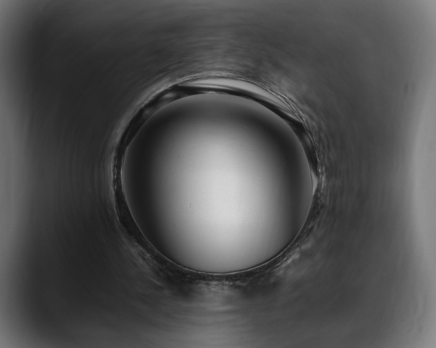 X0000088580244200705251143