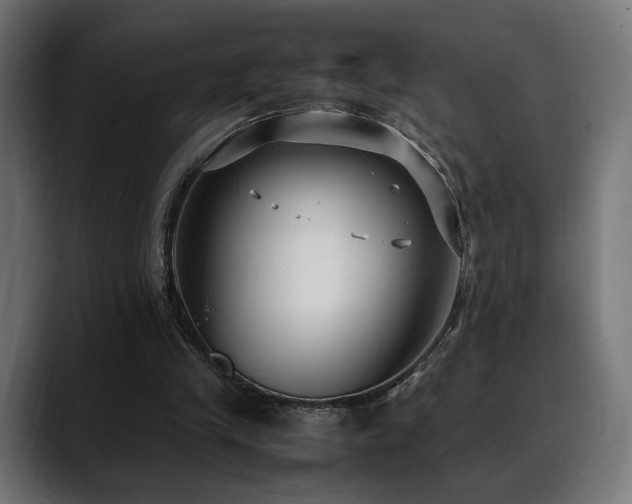 X0000088580245200705251143