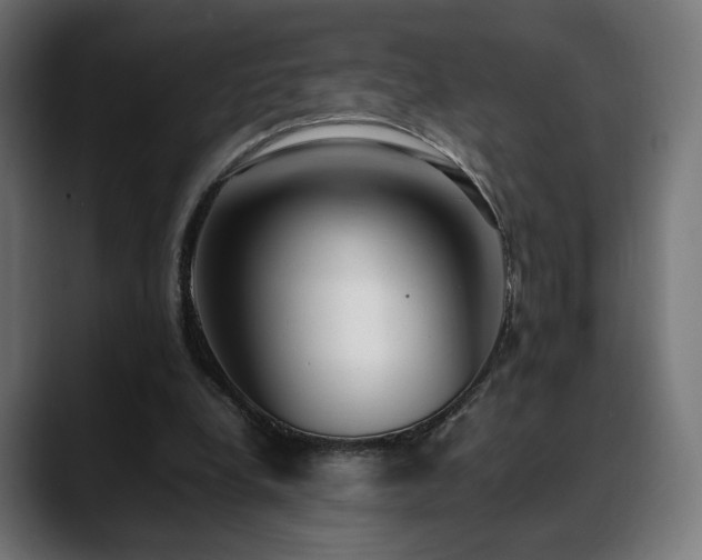 X0000088580248200705251143