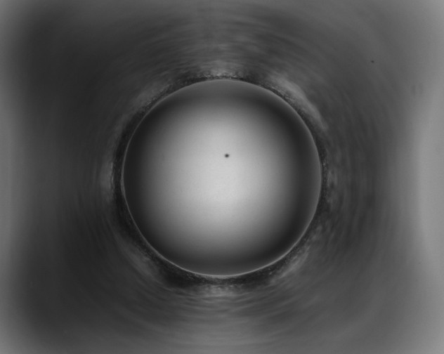 X0000088580250200705251143