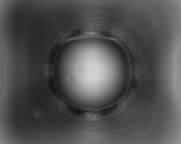 X0000088580272200705251144