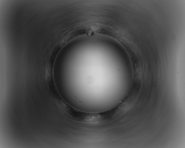 X0000088580274200705251144