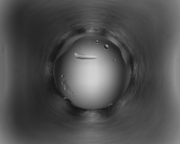 X0000088580280200705251144