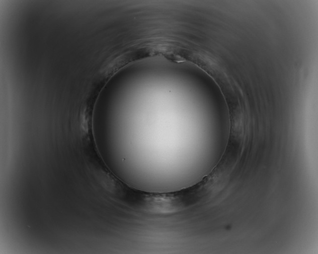 X0000088580282200705251144