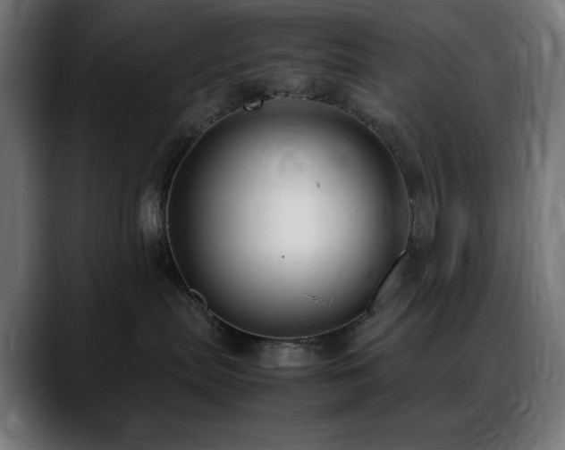 X0000088580287200705251144