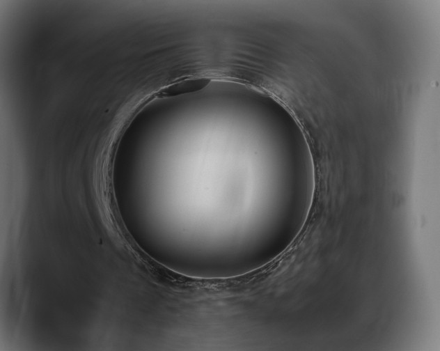 X0000088580289200705251143