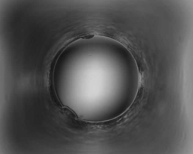 X0000088580291200705251143