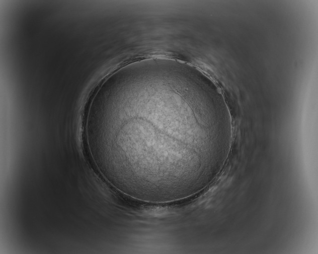 X0000088580293200705251143