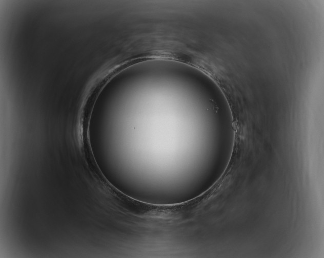 X0000088580294200705251143